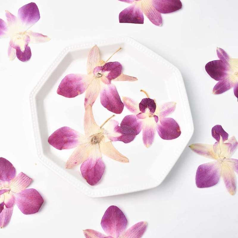 Resin Art For Photo Frame - 4pcs,Real Pressed Butterfly Orchid Flowers DIY