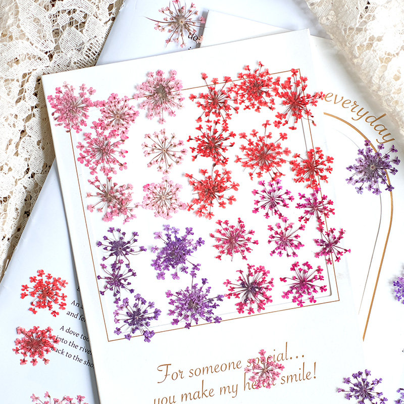 Resin Art For Photo Frame - 24pcs, 2-2.5cm, Nature Dyed Mini Lace