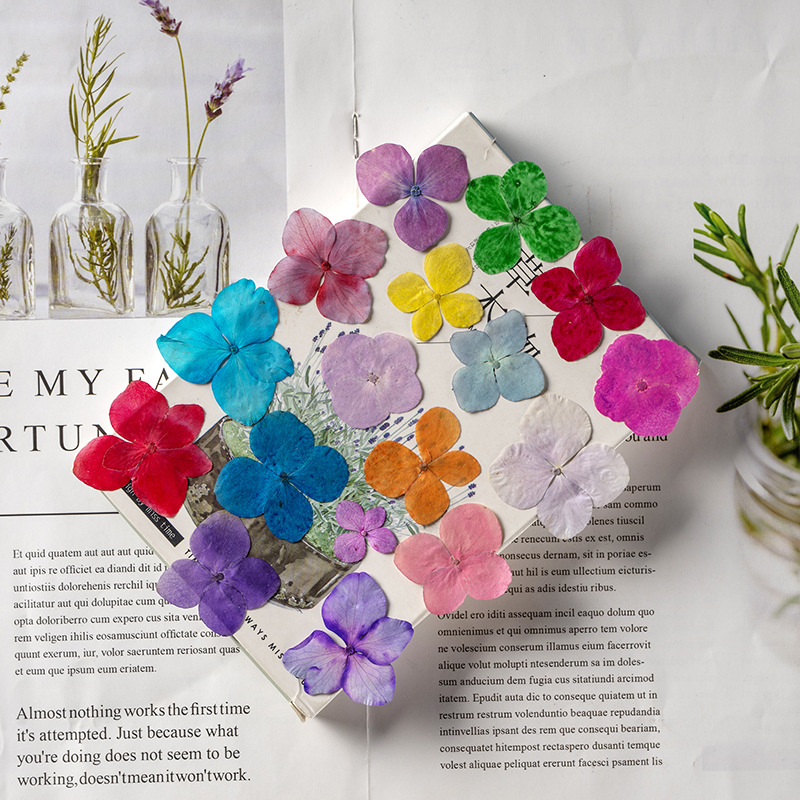 60Pcs Anna Hydrangea Color-Abs - огляд і ціна Resin Art For Photo Frame