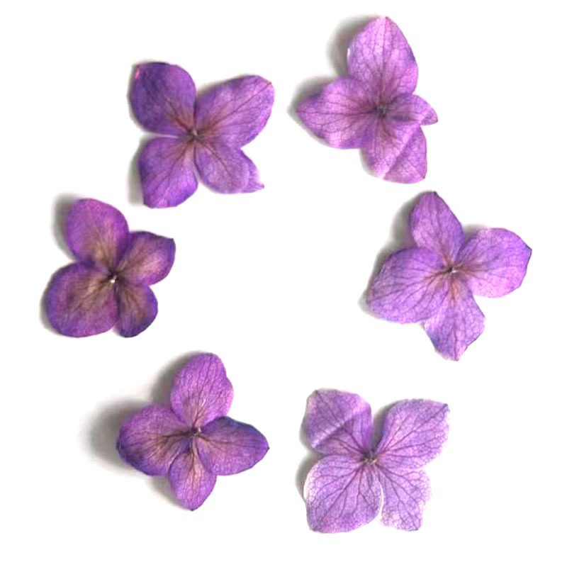 60Pcs Anna Hydrangea Color-Abs - огляд і ціна Resin Art For Photo Frame