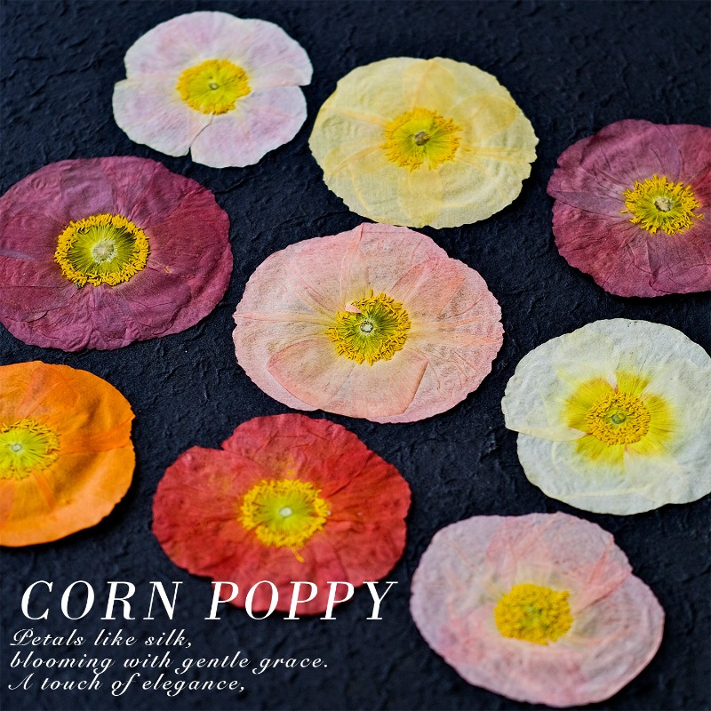 1pcs,Nature Field Poppy Presse - огляд і ціна Resin Art For Photo Frame