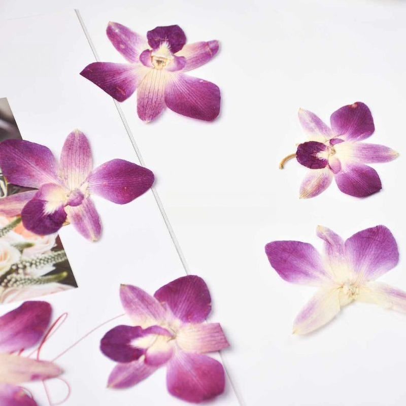 4pcs,Real Pressed Butterfly Or - огляд і ціна Resin Art For Photo Frame