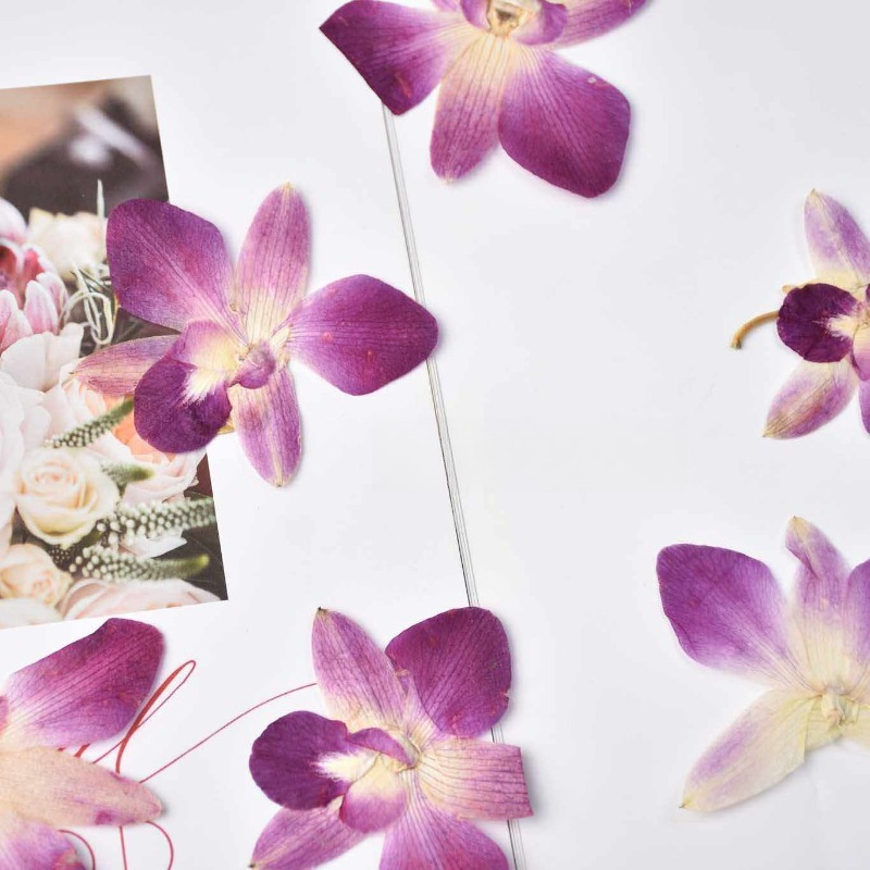 4pcs,Real Pressed Butterfly Or - огляд і ціна Resin Art For Photo Frame