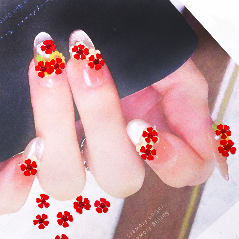 96Pcs Mini 1.5cm Natural Press - огляд і ціна Resin Art For Photo Frame