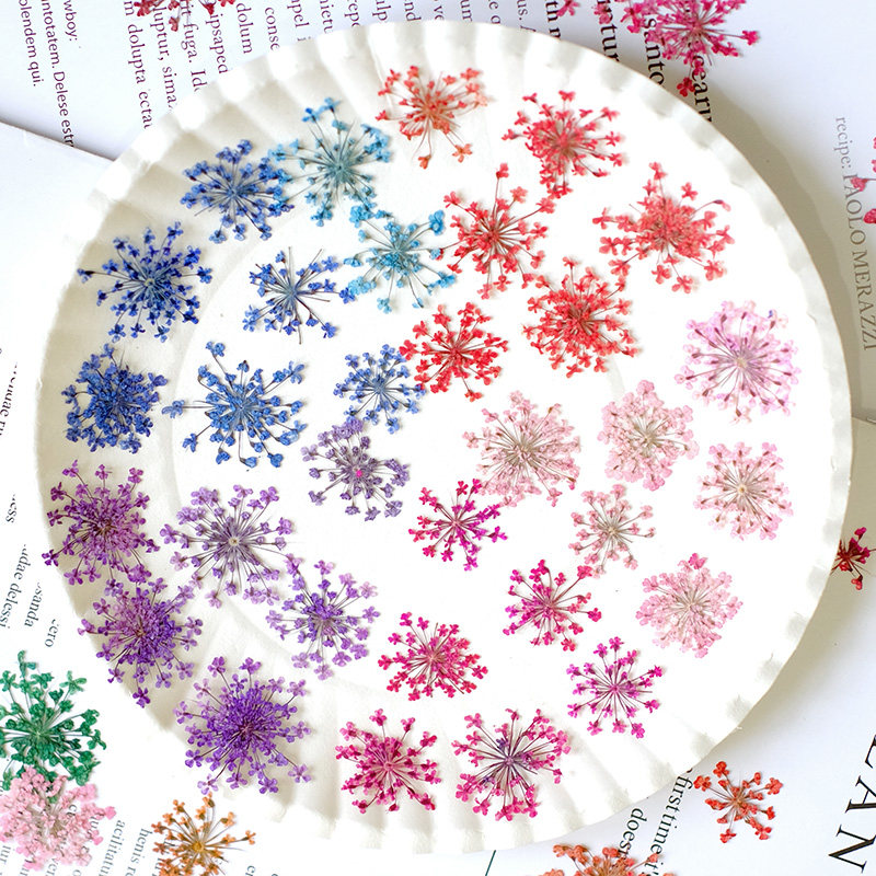 24pcs, 2-2.5cm, Nature Dyed Mi - огляд і ціна Resin Art For Photo Frame