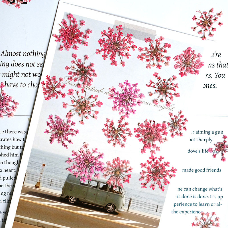 24pcs, 2-2.5cm, Nature Dyed Mi - огляд і ціна Resin Art For Photo Frame