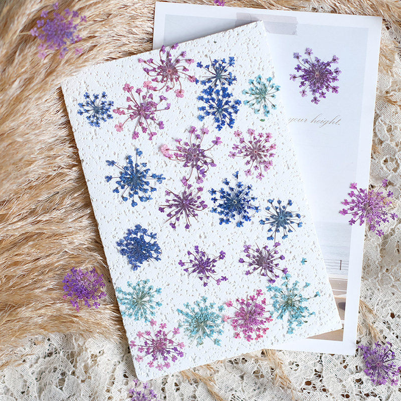 24pcs, 2-2.5cm, Nature Dyed Mi - огляд і ціна Resin Art For Photo Frame