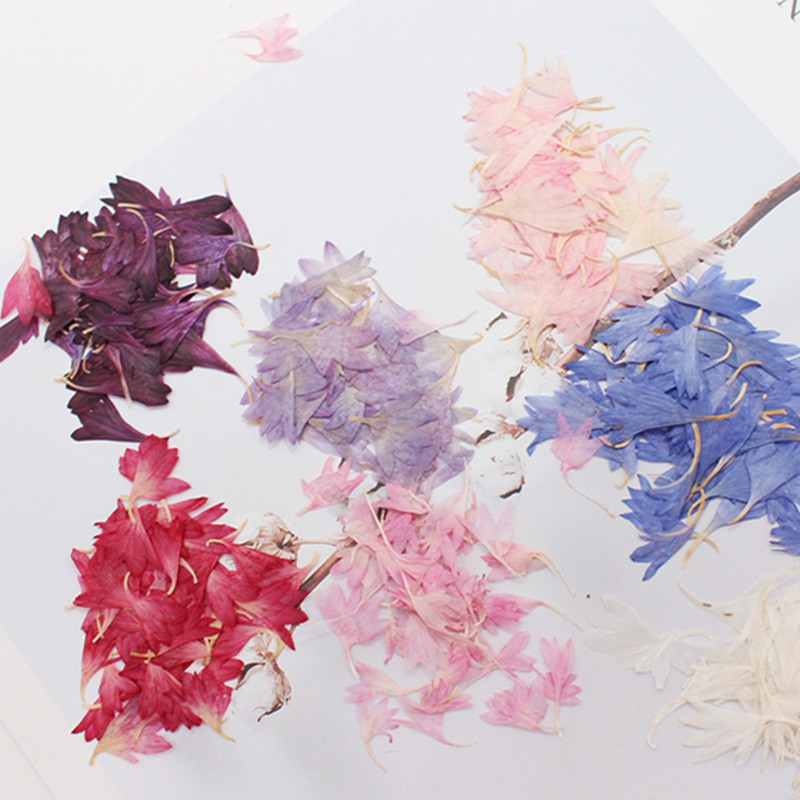 20 Plant Specimens, Cornflower - огляд і ціна Resin Art Sticker