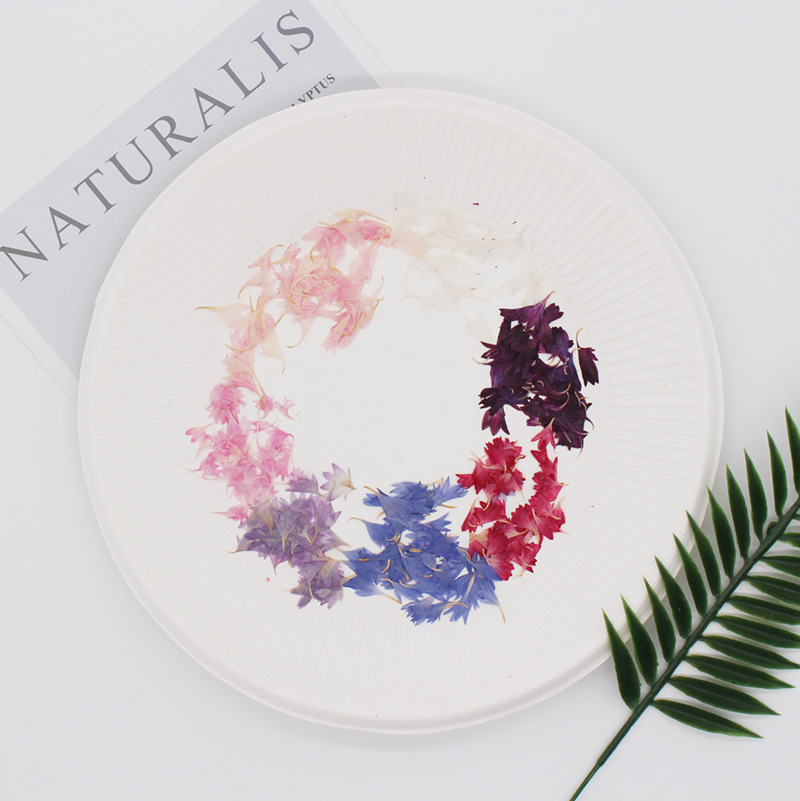 20 Plant Specimens, Cornflower - огляд і ціна Resin Art Sticker